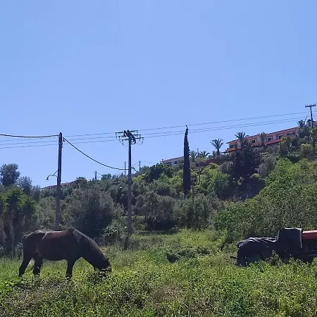 Lagadi 5 * Λάσση